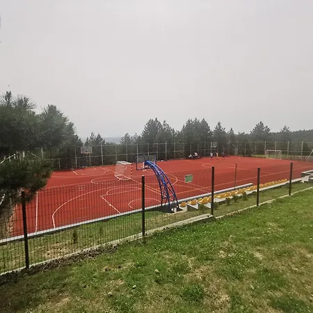 Tarski Snovi - Tara,