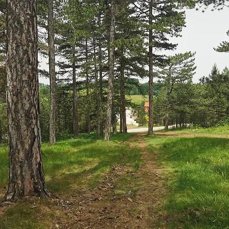 Tarski Snovi - Tara, Apartment *