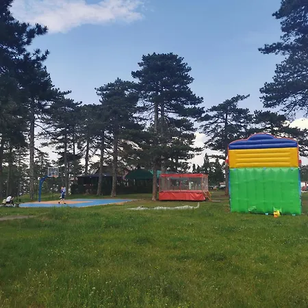 Tarski Snovi - Tara, *