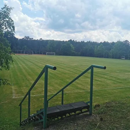 Tarski Snovi - Tara, Kaludjerske Bare