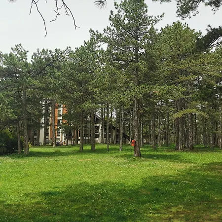 Apartment Tarski Snovi - Tara, Kaludjerske Bare