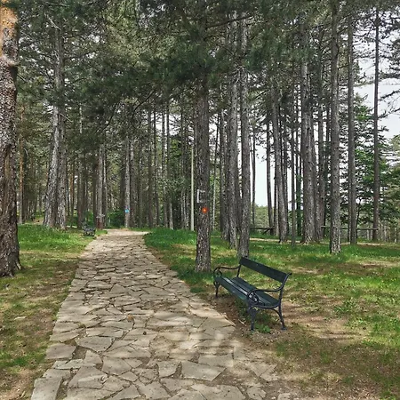 Apartment Tarski Snovi - Tara, *