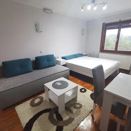 Apartment Tarski Snovi - Tara,